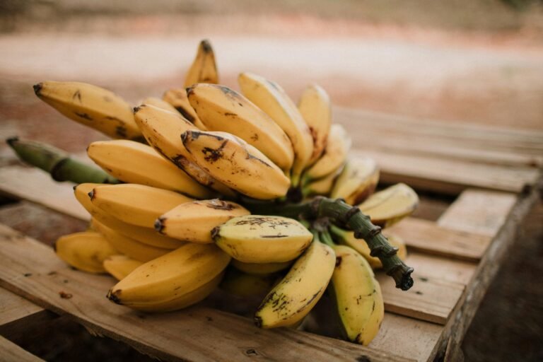 Receita BLW com Banana: Praticidade e Nutrição para o Seu Bebê 🍌