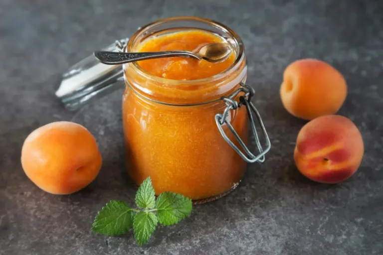 Papinhas Caseiras Deliciosas: Receitas Seguras para Bebês a Partir dos 6 Meses 🥣